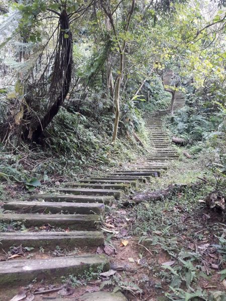 《從郊山到越野》341511