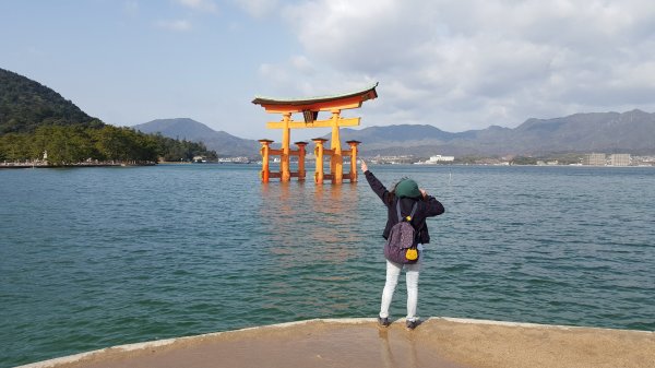 【日本】宮島一日遊。嚴島神社。彌山登山步道1437345