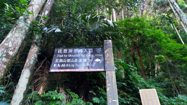 【小百岳】五指山O型1469518
