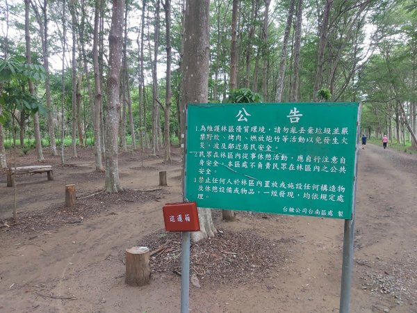 虎山森林步道2185455