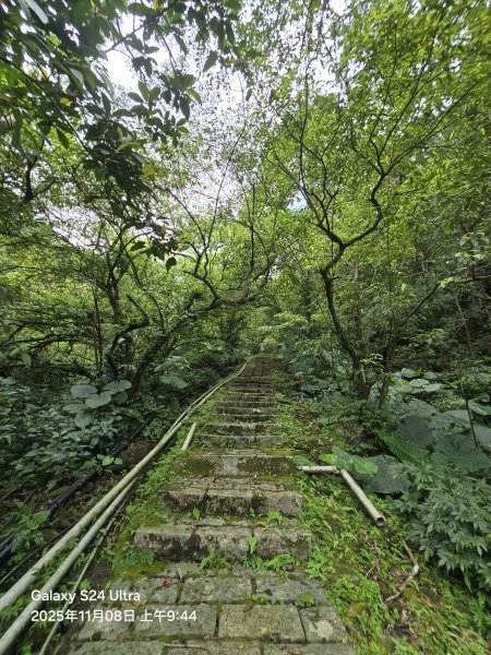 2025-11-08微笑山線：【五分山系】菁桐煤礦段2932712