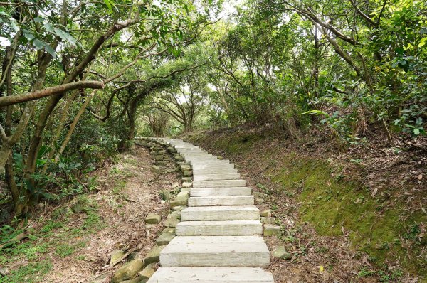 新北 瑞芳 南子吝山2836953