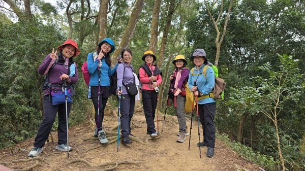 2025年元旦，熱血一日抓三座小百岳，聚興山、暗影山及阿罩霧山，在步步高昇的聚興山，祝您步步高昇。2690138