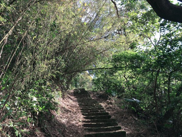 ~ 中 正 山 步 道 ~2782714