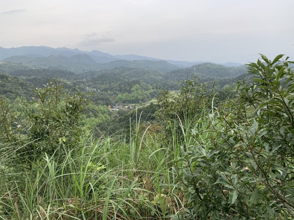 鵲子山（宜蘭礁溪）（小百岳）2530129