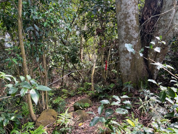 暗影山步道2753086