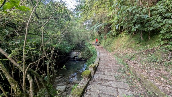 114.06.28內平林山-番子坑山-平湖森林遊樂區之O型2824291