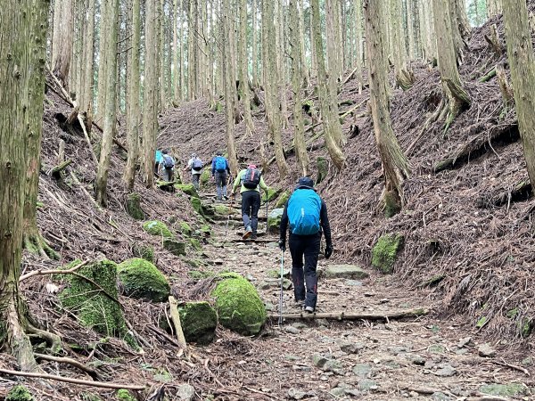 熊野古道參訪4日2805092