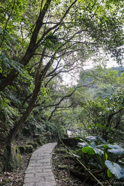 [台北天際線]姜子寮絕壁、姜子寮山、旗尾崙山1966505