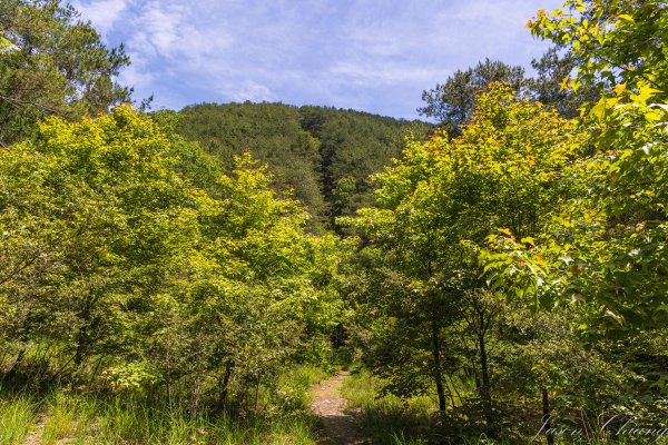 [百岳]大小劍未完2784252