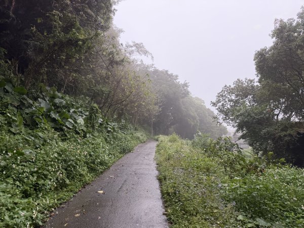 [樟之細路_第一大段RSA05] 2026_0329 石門大圳3027195