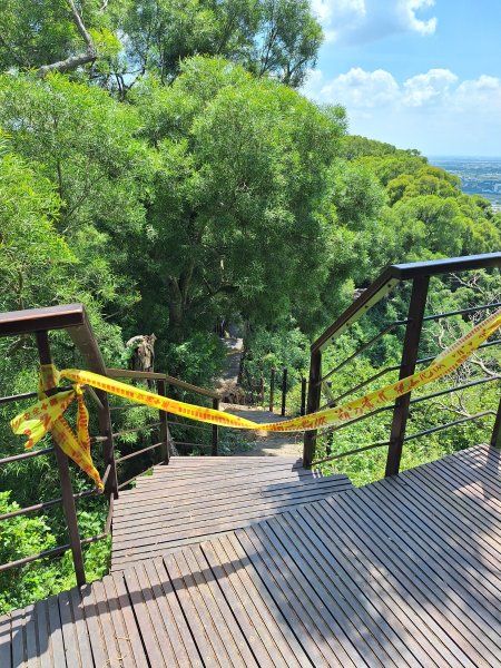 田中麒麟山森林步道202508172862029