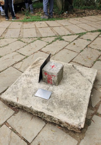 【中級山】台南第一高峰，關子嶺大凍山2741141