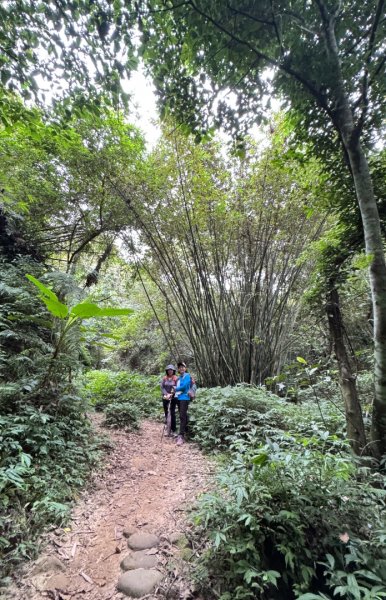 鳴鳳山古道群走鳴鳳山 三湖山吃仙草冰2923296
