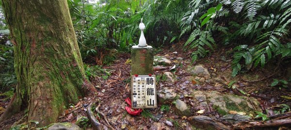 2025/11/02_大崎棟古道+騎龍古道+逃學步道2929068