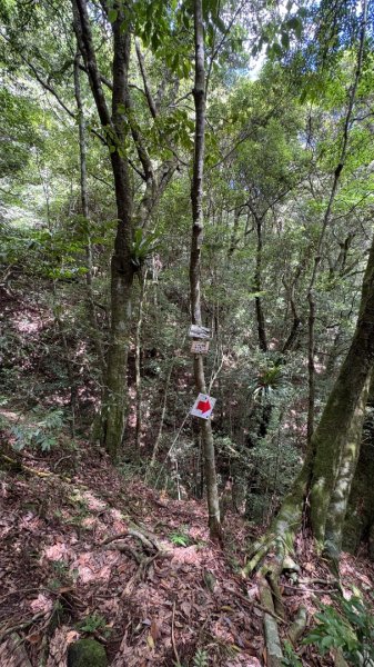 林鐵遺跡2878198