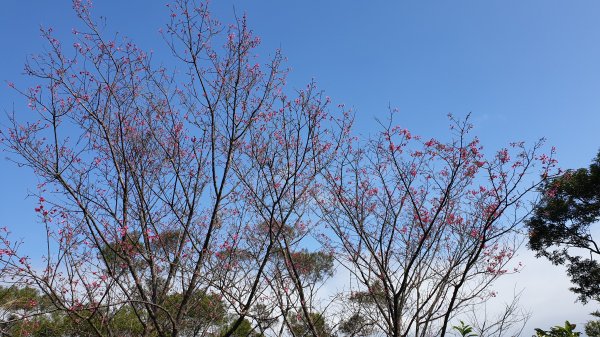 烘爐地文筆山造鎮1067397