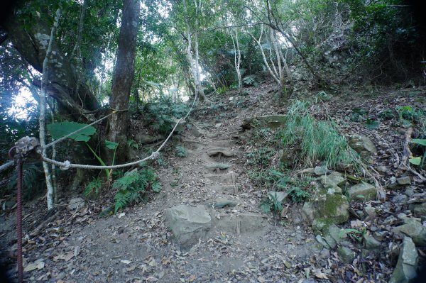 苗栗 泰安 上島山3023044