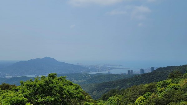 中正山環型步道2109303