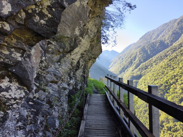 [玉山尋寶任務-07/12] 2025_0824 八通關雲龍瀑布步道2870591