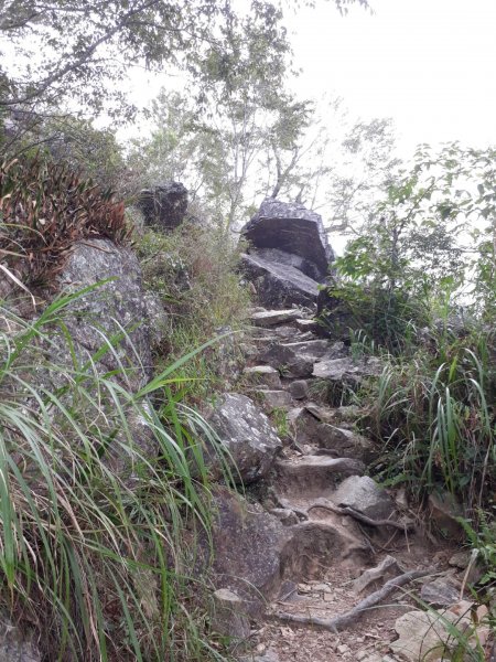 台中谷關七雄之東卯山20191013700150