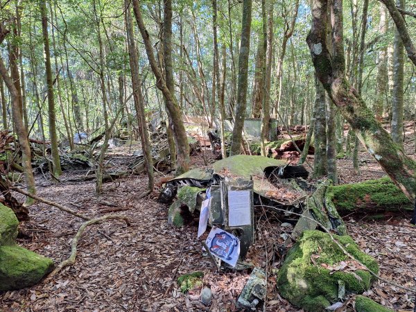 屋我尾山+G(大雪山進老鷹谷出)O型202502162713585