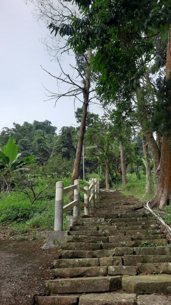 《南投》麒麟潭｜鹿谷麒麟山步道202209241854626