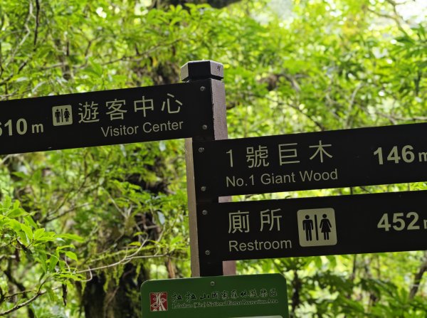 2025_0713 拉拉山神木群步道2837300