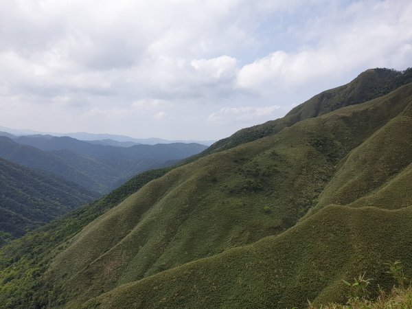20220319抹茶山1653844