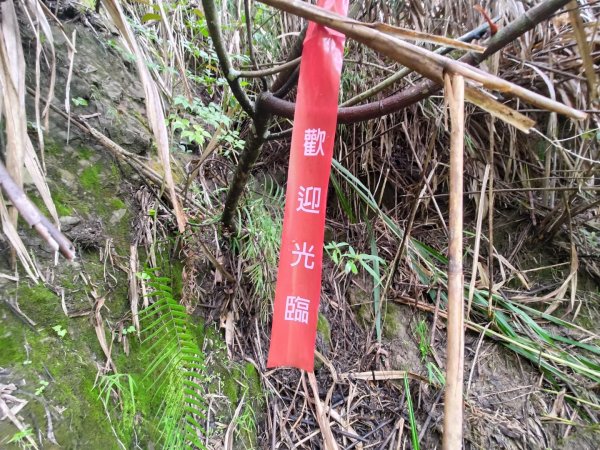 虱石山、岳亞那山連走岳亞那山西北峰、竹腳山2507234