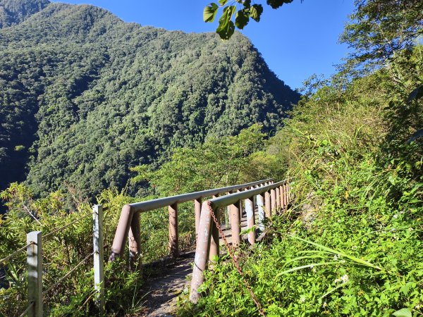 [玉山尋寶任務-07/12] 2025_0824 八通關雲龍瀑布步道2870575