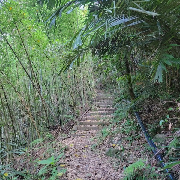 象鼻古道、千兩山步道2219252