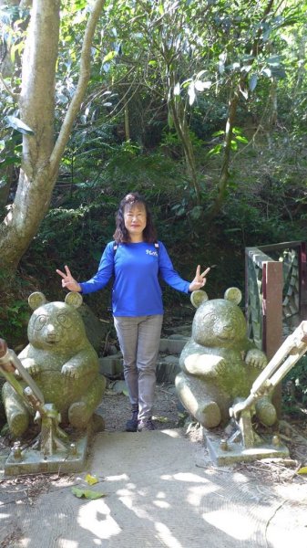 【臺北大縱走7】貓空壺穴、優美的茶香步道804952