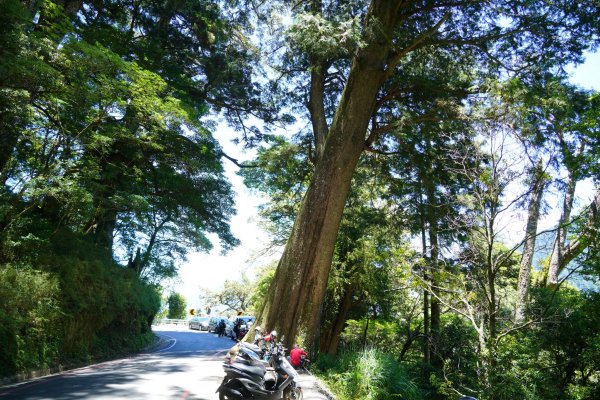 南橫三星 | 前緣再續。關山風月登庫哈諾辛、塔關山順訪中之關。1780120