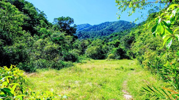 崩山坑越嶺內盤山2913767