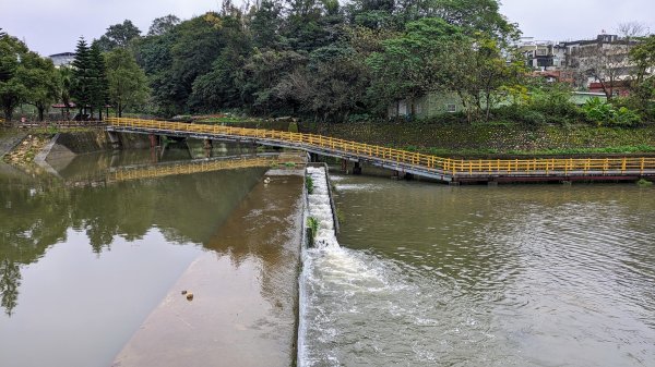 新竹關西亂亂走2422373