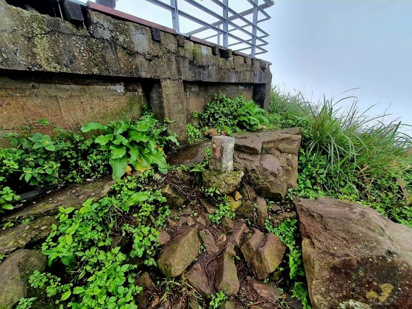 小百岳NO.5觀音山 牛港稜步道  硬漢嶺   楓櫃斗湖登山步道2094742