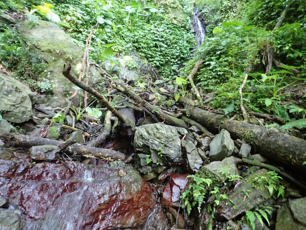 福山往返茶墾山，大台北郊山百岳之馬克完百623948