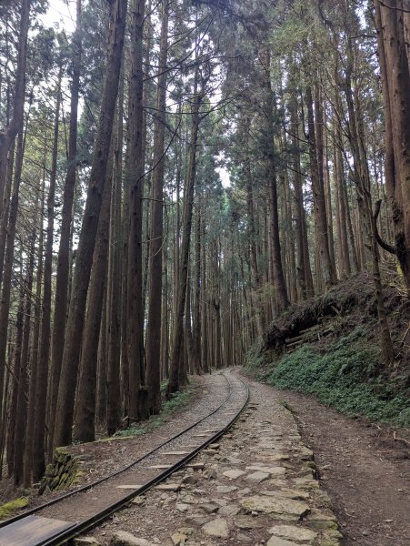 2026.02.14－特富野古道3013739
