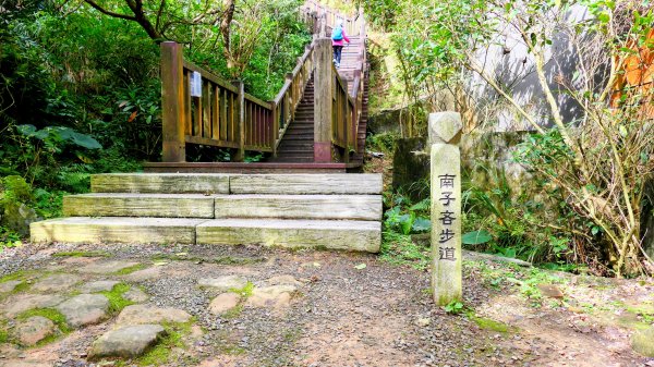 龍脊上的呼吸 (劍龍稜)2993641