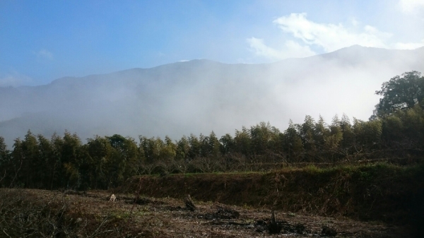 20151226泰安鄉熊佧山27744