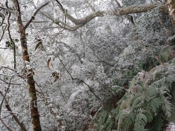 雪季北得拉曼2956425