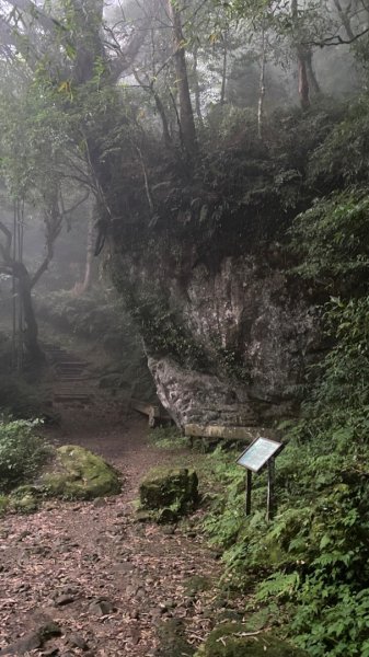 奮起湖-大凍山步道1140537