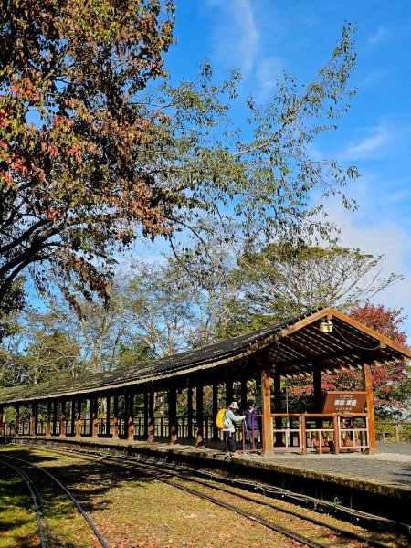 台灣難抵極與祝山觀日步道(小笠原山) - 2024嘉遊好步道．來嘉走走2670115