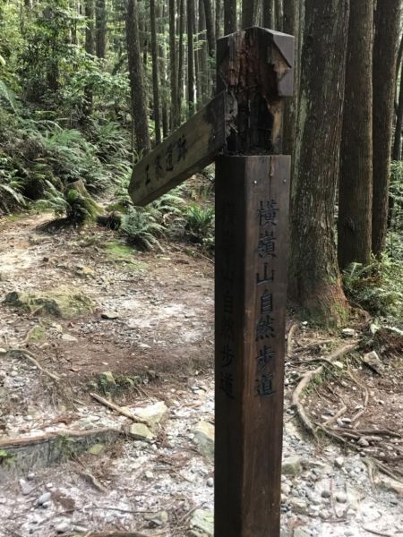 橫嶺山環走自然步道340503