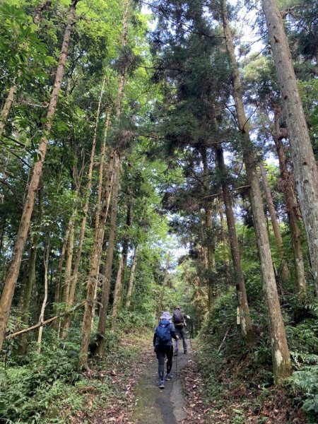 新竹五指山步道2215648