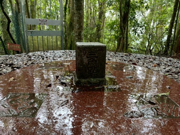 新竹 五峰 雪霸休閒農場 野馬瞰山步道2811503