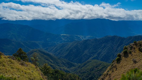 雪山東峰壯麗的山景&動植物1521797