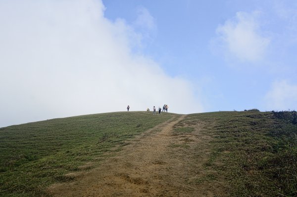 灣坑頭山 桃源谷步道 連走2034778
