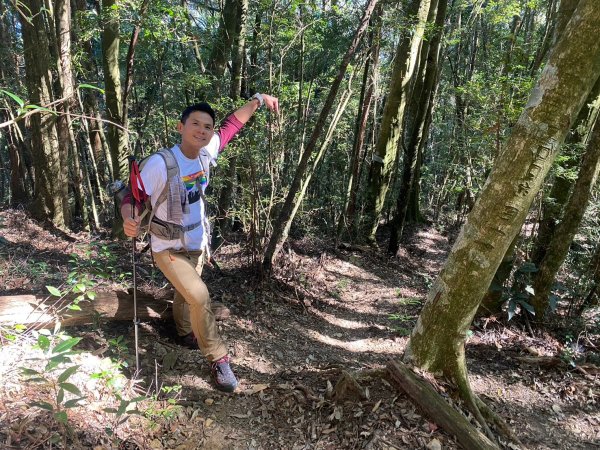 長壽山-醜崠山-鳶嘴山【既優雅又狂野的另類選擇】2673978